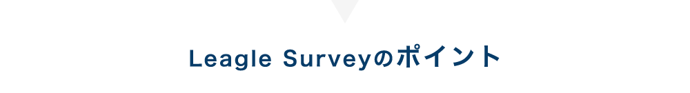 Leagle Surveyのポイント